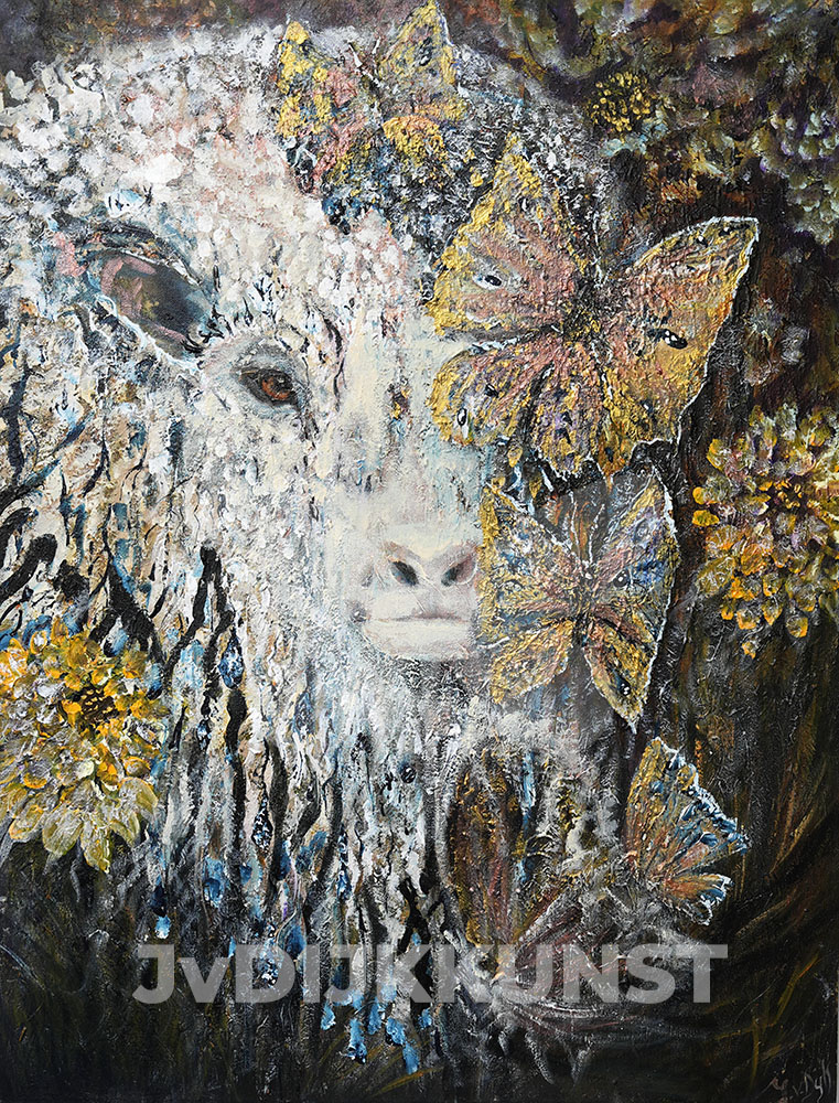 schaap